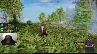 New World : Tank players...