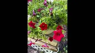 Waterfront Villa Cordova - Video Tour