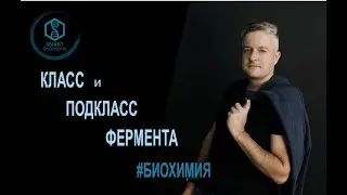 Биохимия: класс и подкласс фермента