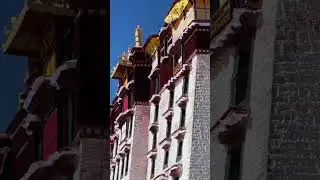 Do you know that our Potala Palace is painted with a mixture of milk and sugar each year? #tibet