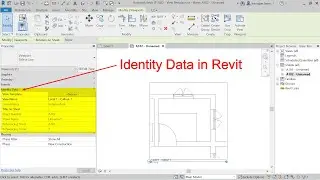 Identity data in Revit