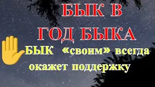 Бык в 2021 году Быка. Восточный гороскоп.
