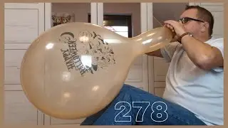 278 - b2p big 17
