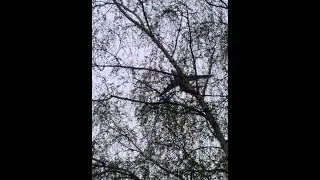 Подготовка к параду 9 мая 2013(2)