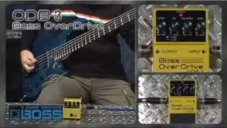 BOSS ODB-3 Bass OverDrive [BOSS Sound Check]