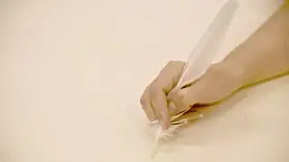 РУКА С ПЕРОМ левый край для текста Футаж