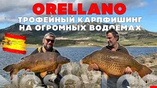 Trophy сarpfishing on huge reservoirs - the lake Orellano Spain, with Yuri Begalov, Artem Kolesnikov