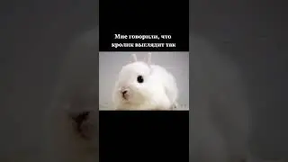 А кто ваш кролик? 🐰#cosplay #косплей #магистрдьявольскогокульта #modaozushi #аниме