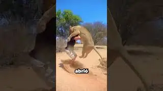 Cuando Las Cámaras Captaron Los Momentos Más Asomb