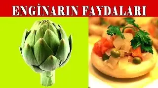 Enginar ve Faydaları - Faydalı Bilgiler - Pişirmece | Yemek Tarifleri