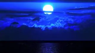 Blue Moon Of Kentucky (genre: bluegrass / country rock)