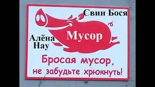 Свин Бося   МУСОР