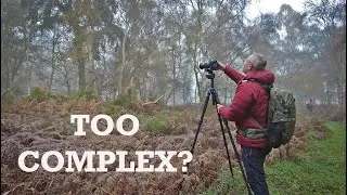 Photographing complex woodland scenes