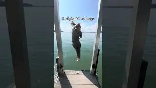 This was fun 🤣😂🤣 