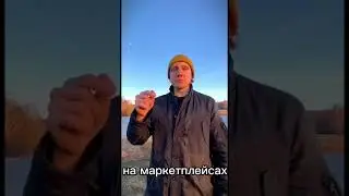 26 апреля 2023 г.