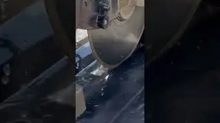 #short