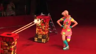 Марина и Светлана Савицкие "Кошачьи игры"