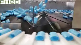 scallop feeder