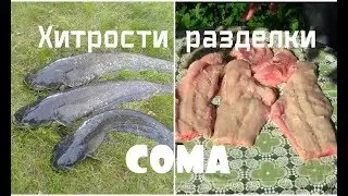 Как чистить и разделать сома. Простой оригинальный способ.
