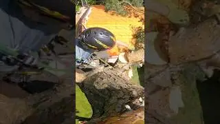 Rigging pine tree over house
