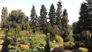ОАО 