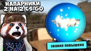 МЕНЯ ПОВЫСИЛИ ЗА 1 КАТКУ СНОВА ! ИГРАЮ ПРОТИВ ЛАЙФХАКЕРОВ - КС ГО НАПАРНИКИ #20
