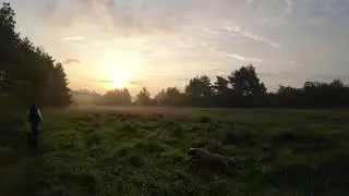 Early Morning Walk 13th September 2023