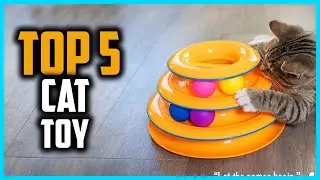 ✅Top 5 Best Cat Toy in 2024