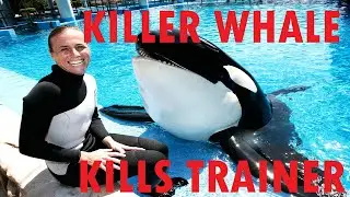 KILLER WHALE KILLS TRAINER (Same Orca Whale Had Killed 2 Others)