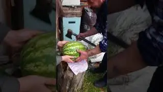 Как разрезать арбуз без ножа