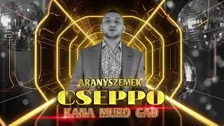 Aranyszemek Cseppo Kana muro gad /AUDIO/