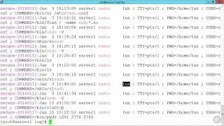 48   Auditing Root Access