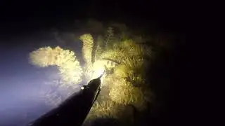 spearfishing