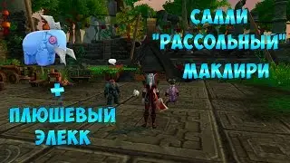 Салли 