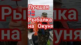 Незабываемая рыбалка на острове Vandve.