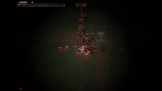 Doom Survivors
