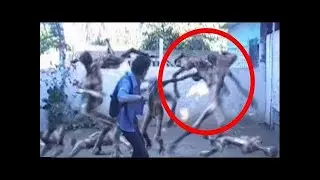 Hindistan'da Bulunan 10 Şey, Tüm Dünyayı Şok Etti.