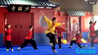 Shaolin Kung Fu｜Martial Arts 少林功夫