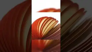 Perfect satisfying photos…😴 #satisfying