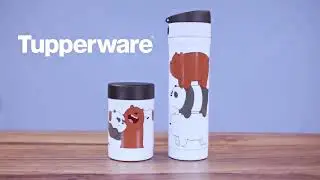 ¡Escandalo, es un escandalo! 🐻‍❄️🐼🐻