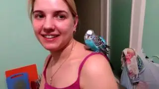 Прикольное видео! Попугай моется под краном! )))))))