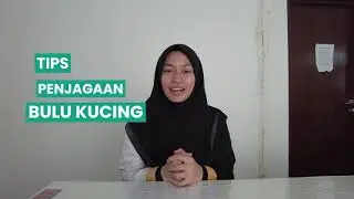 TIPS PENJAGAAN BULU KUCING TIDAK GUGUR