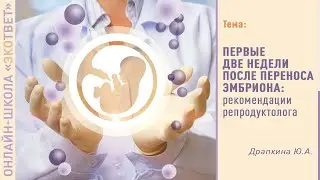 Онлайн школа «ЭКОтвет»: Драпкина Ю.А.