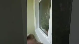 Отделка лоджии Зеленоград