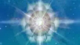 moola  mantra  and  dolphins