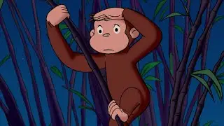 Jorge en el Zoo 🐵Jorge el Curioso en Español Castellano 🐵Dibujos animados