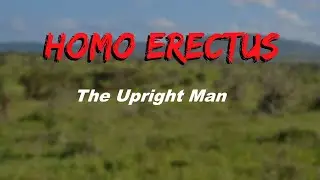 Homo Erectus Culture