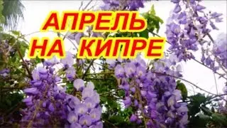 APRIL IN CYPRUS