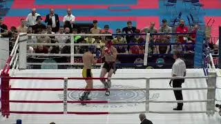 VIKSRAITIS HENRIKAS LTU MYKHAILYTSIA PAVLO UKR Hungarian Kickboxing World Cup 2023