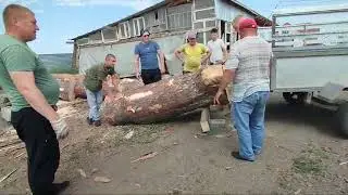 Подготовка материала для Трех богатырей